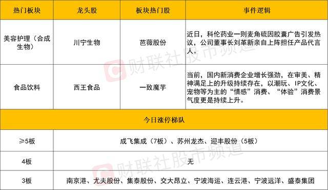 支庭荣：南方报业平台性变革的S型体系、计划、路径